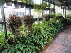 -ROAST coffee & eatery