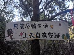 -青龙山生态文化旅游区(慈云寺)
