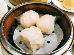 鲜蝦皇-糖朝(尖沙咀店)