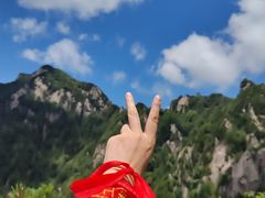 -王顺山国家森林公园