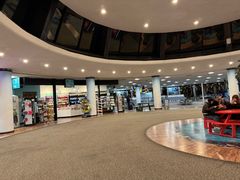 -纽瓦克自由国际机场