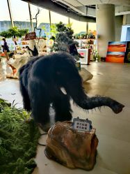 点击看大图 -IMON·HANSA潮玩玩偶毛绒玩具(通州万象汇店)