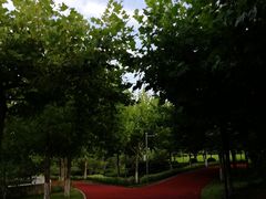 -大连理工大学(凌水校区)