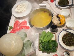 -汤城·料青山