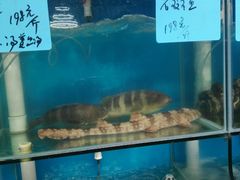 -鑫悦楼煎蟹·16年海鲜大排档