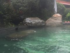 -麦积山温泉