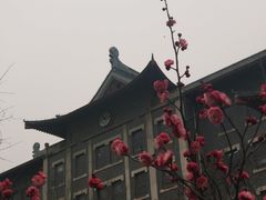 -山东大学(趵突泉校区)