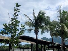 -亚龙湾国际玫瑰谷