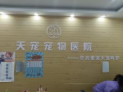 -天宠宠物医院24小时·急重症诊疗中心·全科·腔镜特色(和平分院)
