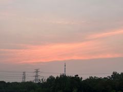 -九里河湿地公园