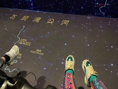 -西双版纳原始森林公园