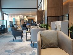 -苏州希尔顿酒店·园大堂吧