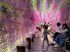 -酒仙湖景区