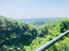 -川西竹海景区