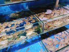 水产区-蟹谢蒸鲜自助餐厅