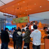 手心里的圣诞树🎄