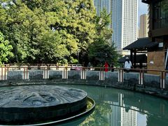 -成都市活水公园