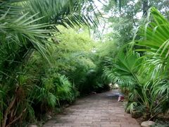 -五甲塘生态湿地公园