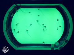 -沈阳海洋探索中心