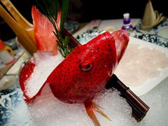-侨美食家·40年地道粤菜(珠江新城店)