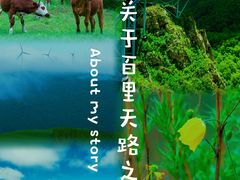 -百里天路