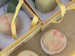 -老袁家蜜桃农场·阳山水蜜桃