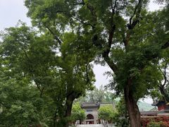 -红螺寺