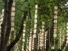 -白马涧龙池景区