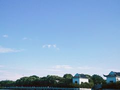 -八大山人梅湖景区