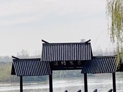 -沙家浜风景区