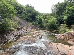 -广州白江湖森林公园