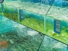 -汪姐海鲜(侨港金冠好店)