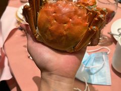 清蒸大闸蟹-王宝和酒家(黄浦店)