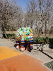 -大望京儿童游乐场