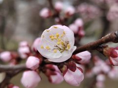 -长春公园(普阳街道)