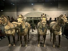 -秦始皇帝陵博物院-丽山园
