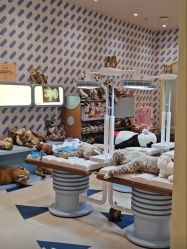 -奈尔宝家庭中心·亲子餐厅(长沙运达汇店)