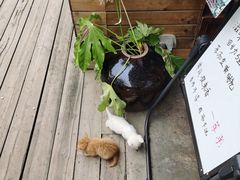 -观清澜疗愈民宿(龙泉山风景区店)