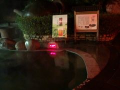 -雅安楠水阁温泉酒店