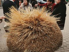 -白鹿原影视城