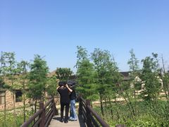-乌村