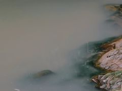 -红山村