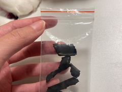-宠福鑫动物医院(望京分院)