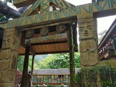 -西双版纳原始森林公园