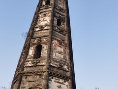 -上海佘山国家森林公园天马山园