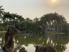 -中国科学院西双版纳热带植物园
