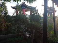 -兰山公园