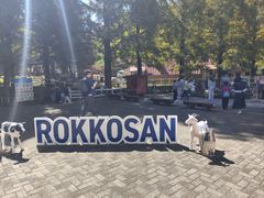 -神户市立六甲山牧场