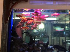 -稷泽·海丽宾雅温泉度假酒店