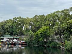 -桂湖森林公园